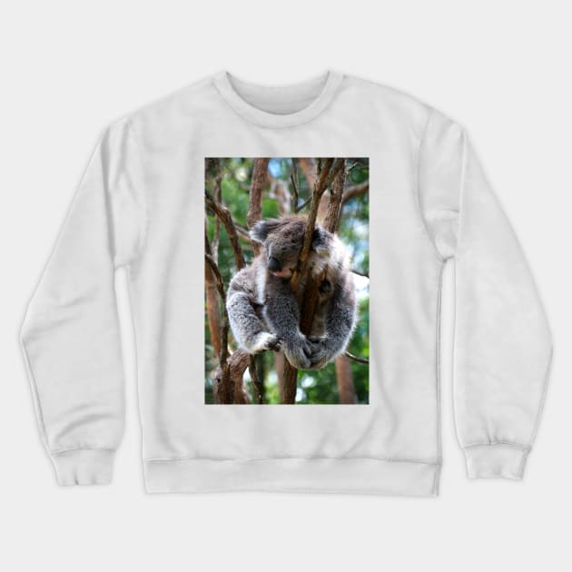 No Such Thing As Too Relaxed For A Koala Crewneck Sweatshirt by GP1746